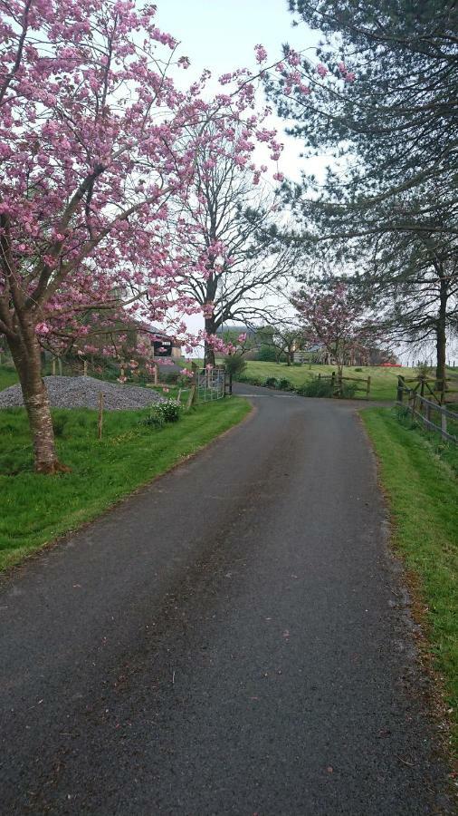 Laraghson House Guest House Enniskillen Luaran gambar
